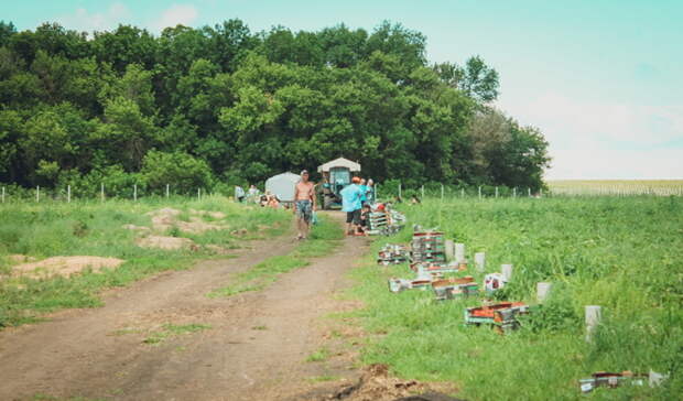 «Агрохолдинг Кипиай» отрицает посадку ГМО-семян