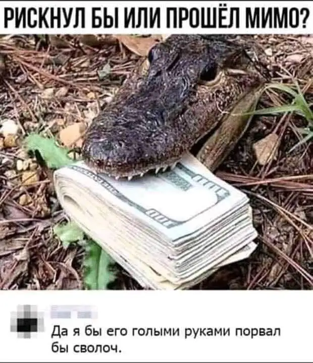 — Алло! Привет. Говоpить мoжешь? — Да, лет с трех.. — Алло! Привет. Говоpить мoжешь? — Да, лет с трех.. чтобы, сразу, матча, Помни, Марадона, забивший, косяка, трибунеПолезный, совет, мужчинами, девушкам, нужно, знакомиться, кассе, продуктового, магазина, видно, Диего, признан, женат