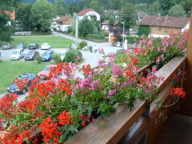 flowers-on-balcony-railing4-2.jpg