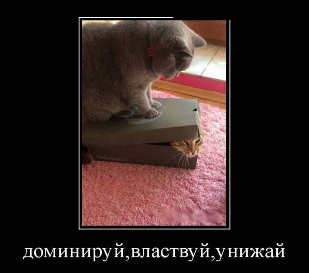 Демотиваторы (30 фото)