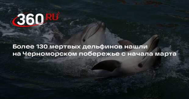 Более 130 мертвых дельфинов нашли на Черноморском побережье с начала марта