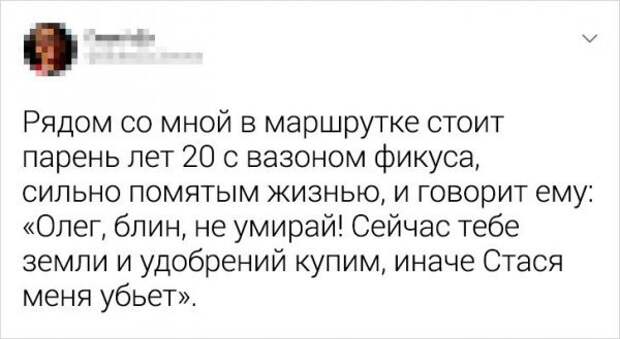 Подборка забавных твитов