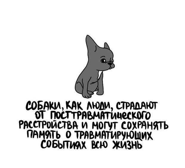 Интересные и короткие факты на все случаи жизни