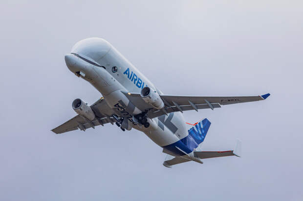 Самый большой грузовой самолет Airbus: Airbus BelugaXL