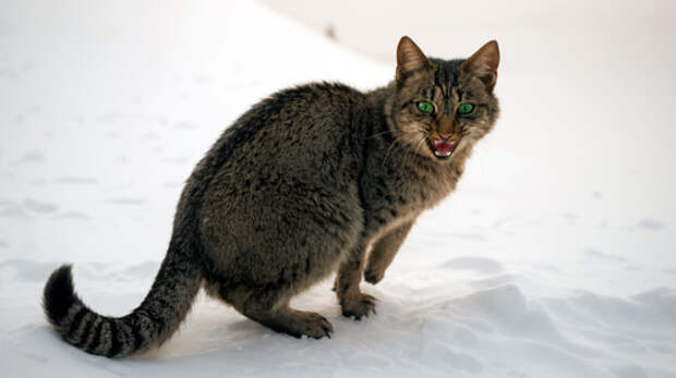 Взгляд снизу вверх