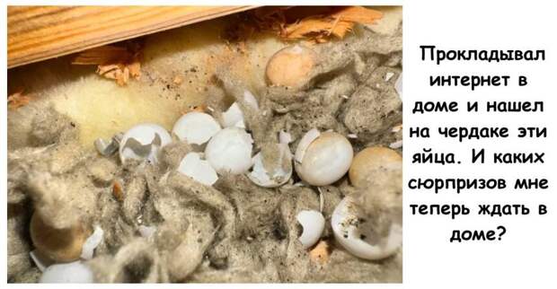 Неожиданные сюрпризы, загадочные находки и 15 человек, которые не смогли разгадать их без помощи интернета