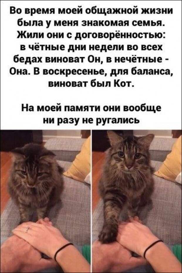 Новые прикольные картинки дня!!!