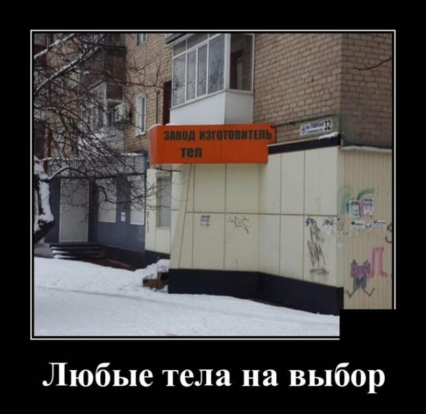 Демотиваторы