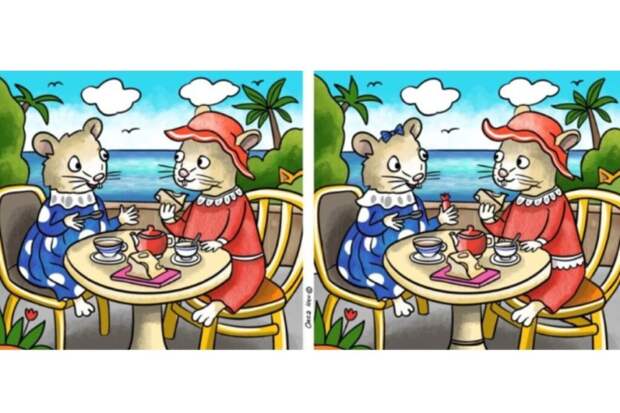 Проверьте внимательность: успеете найти все отличия за полминуты