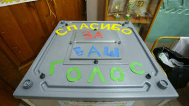 Выборы в Алтайском крае / Фото: Екатерина Смолихина / Amic.ru