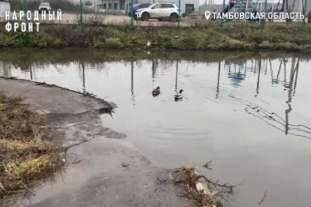 Проблема с канализационным болотом в Слободе остаётся нерешенной