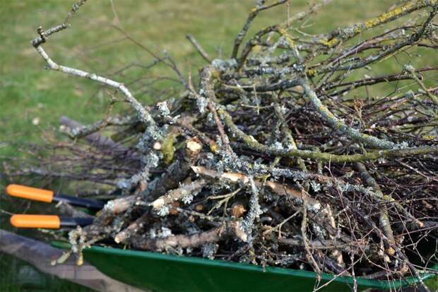 В Майкопском районе состоится субботник по наведению санитарного порядка