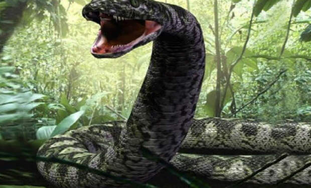 Опасные обитатели мутных вод Амазонки