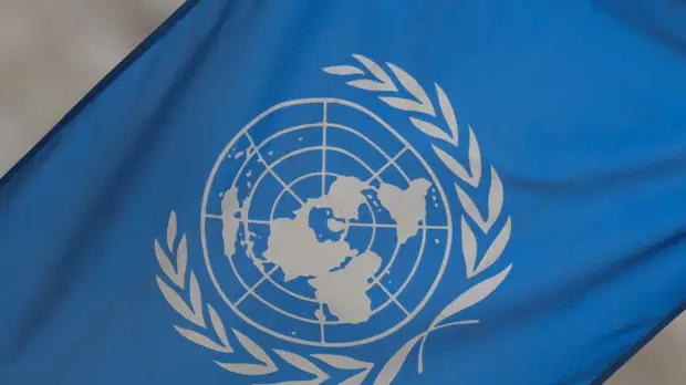 В ООН сообщили о проблемах с цепочками поставки продовольствия на Украине