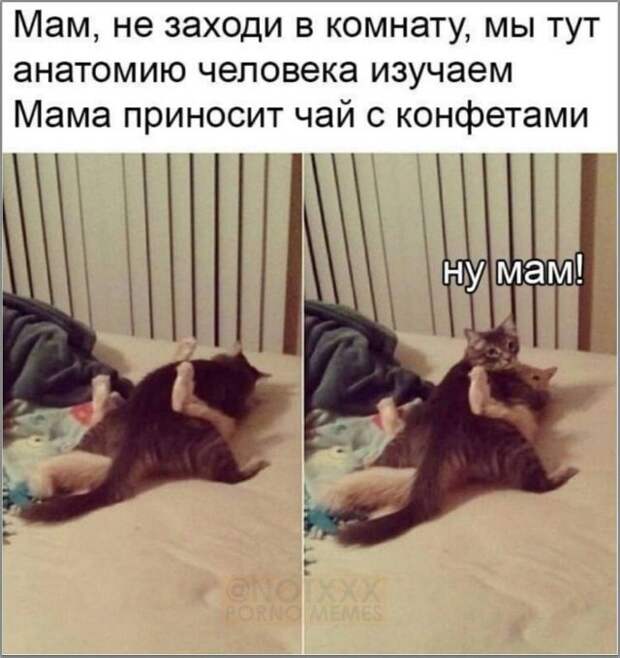 Мемы и приколы про &quot;это&quot;