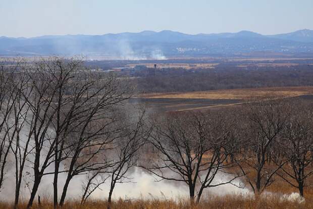 В Приморье в первый день весны потушили сразу два природных пожара