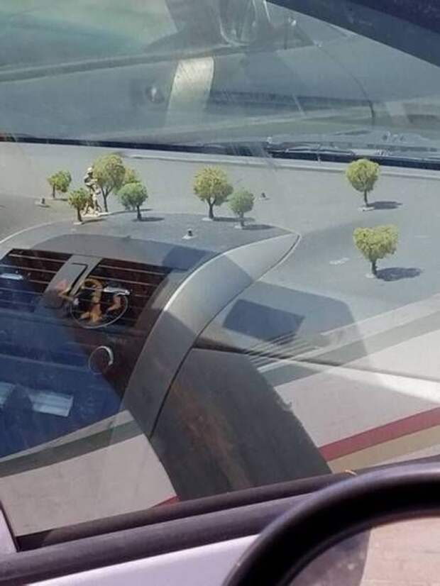 Прикольные картинки