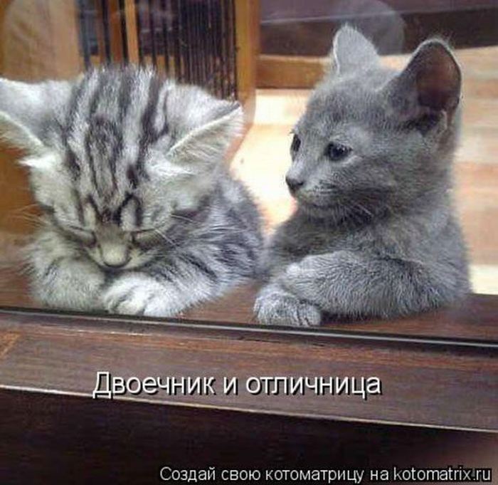 Мысли вслух :)