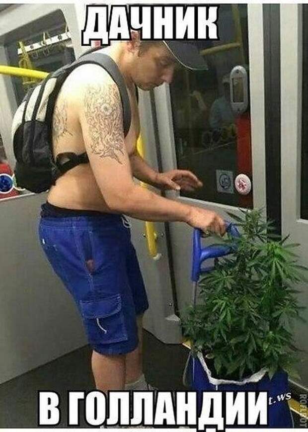 Давайте улыбаться вместе :)