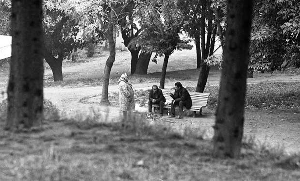 Фотография: Повседневная жизнь в советской Грузии 1976 года в фотографиях шведского фотографа №9 - BigPicture.ru