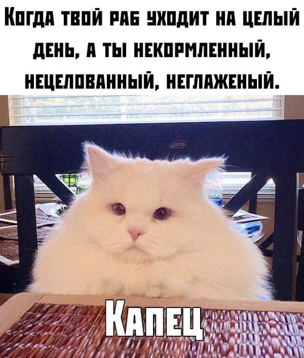 Прикольные картинки абавсём:D