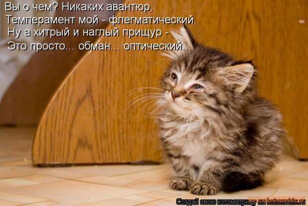 Уфф!!! Ну наконец-то! Котоматрицы великолепные, каждая с улыбкой и хорошим настроением!