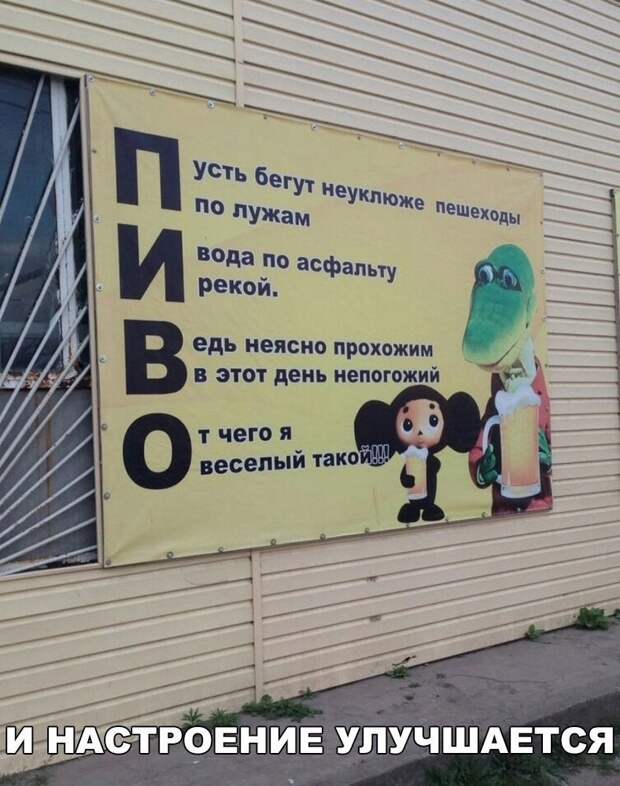 Смешные картинки с надписями приколы, смешные картинки, юмор