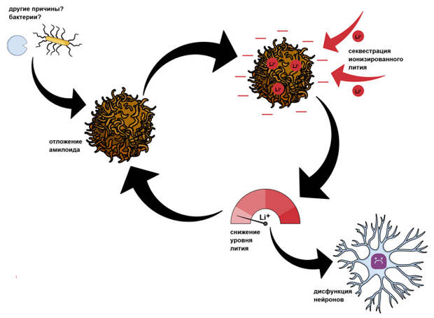 Рис. 3. Оротат лития диссоциирует не так сильно, как остальные соли