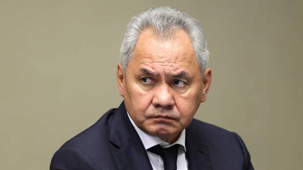 Шойгу предупредил о террористических угрозах России от 56 государств