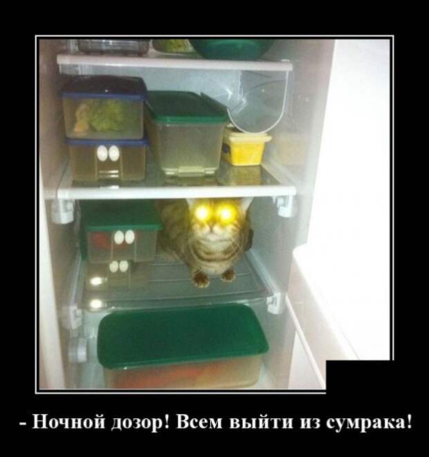 Демотиваторы (30 фото)