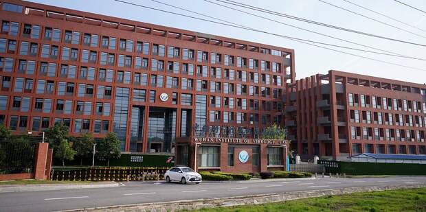 США проверяют лабораторную гипотезу происхождения COVID-19.