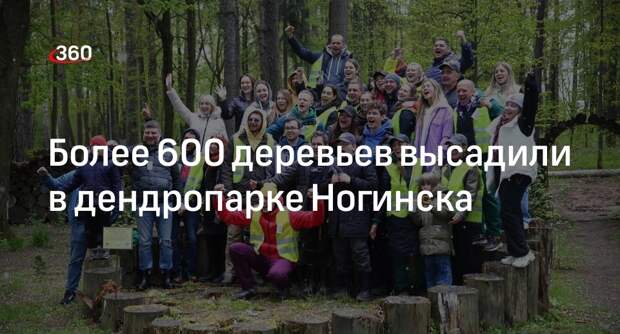 Более 600 деревьев высадили в дендропарке Ногинска