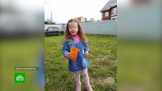 Соседка видела пропавшую в Псковской области девочку, но не остановила ее