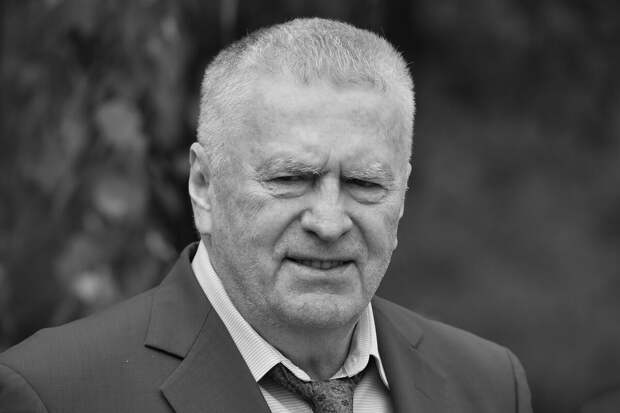 В опубликованных в США файлах по делу Эпштейна упоминается фамилия Жириновского