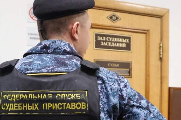 В ЛНР пристав выстрелом сбил приближавшийся к зданию суда беспилотник