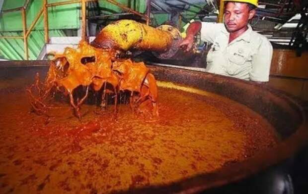 Всё дело в «пальме»? Почему магазинное молоко не киснет, а тухнет