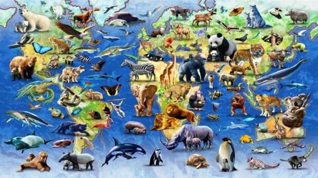 Вымирающие виды животных: список, как сохранить?