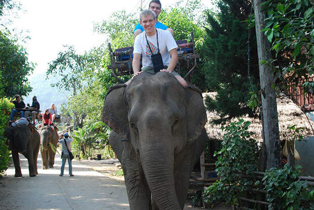 На территории комплекса Ангкор-Ват наконец-то запретят кататься на слонах