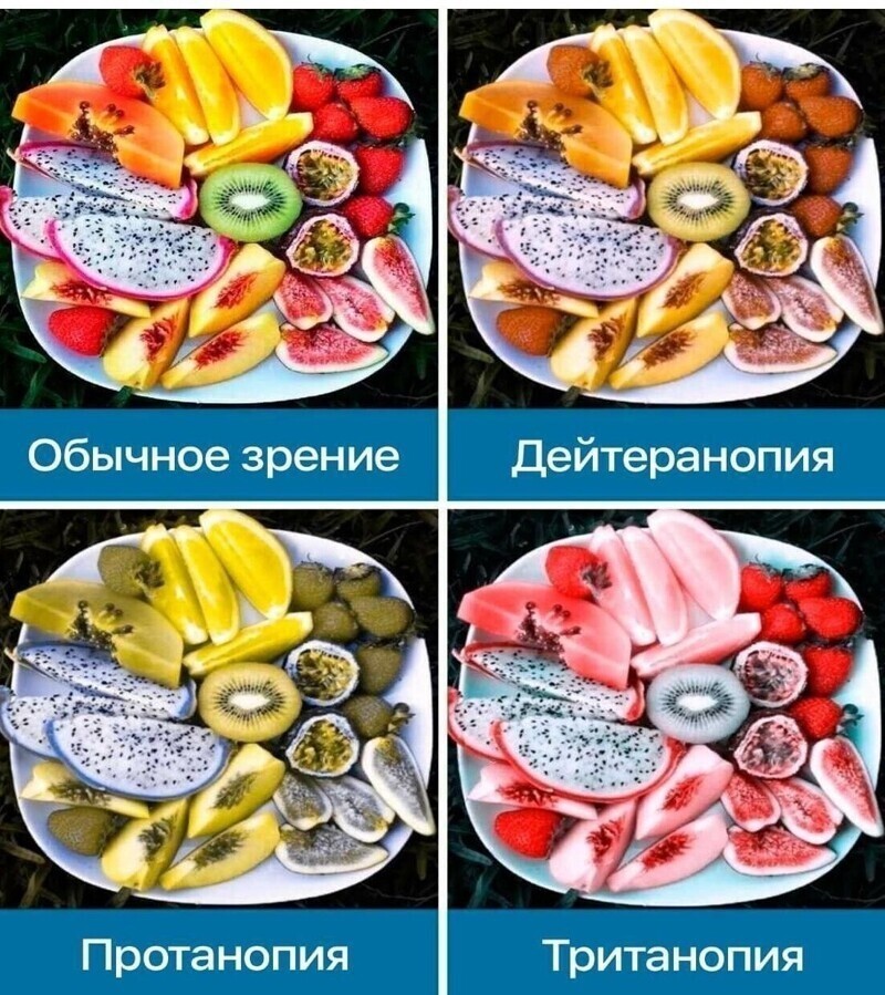 Виды дальтонизма Виды дальтонизма