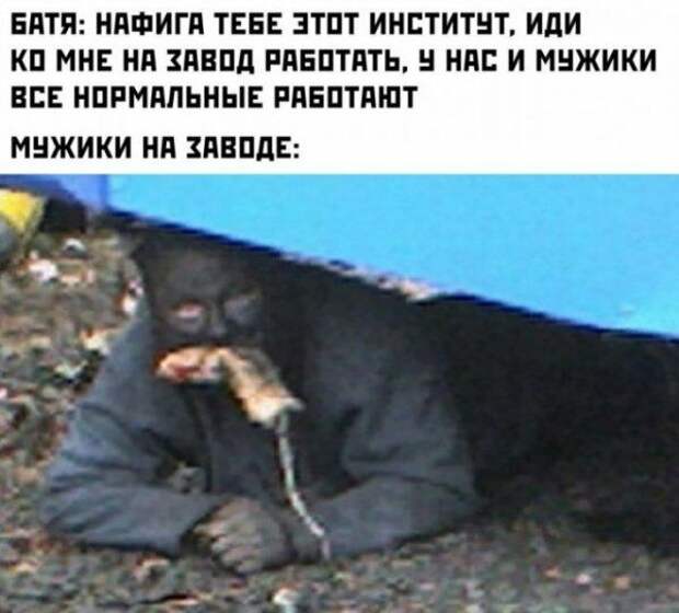 2020-02-11-19-44-2417.jpg