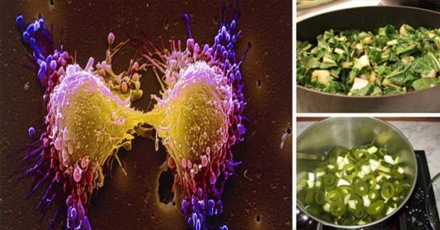 15-Foods-That-Force-Cancer-Cell-Death-Remove-Toxins-And-Relentlessly-Hunt-Free-Radicals