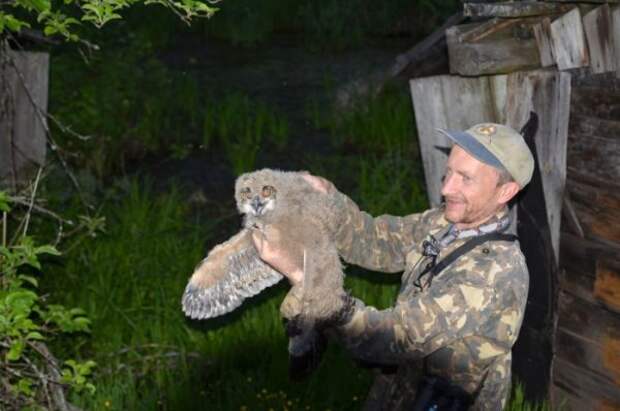 Мужчина установил фотоловушки возле Чернобыля. Камера зафиксировала невероятное!