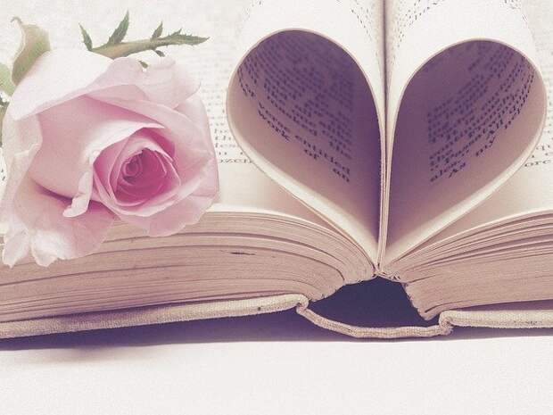 книга. Фото: pixabay.com alt
