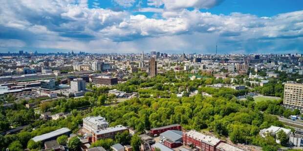 Сергунина: В Москве расширили поддержку организаций сферы искусства. Фото: mos.ru