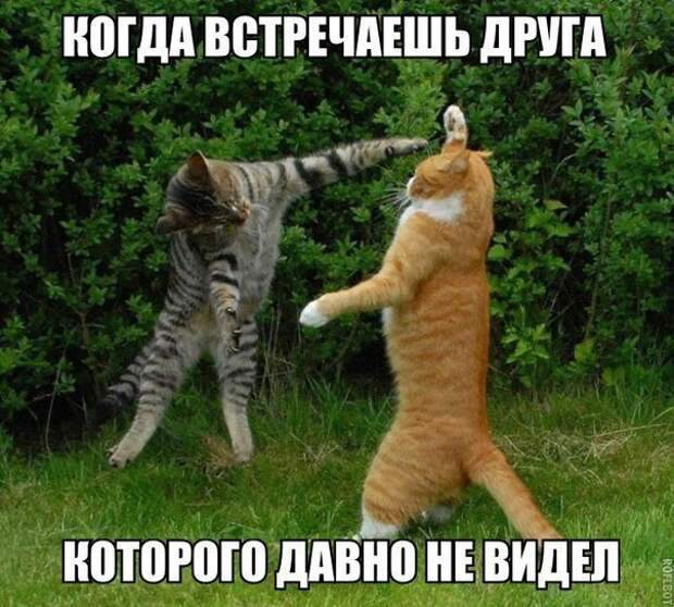 kro2hHSrt_U