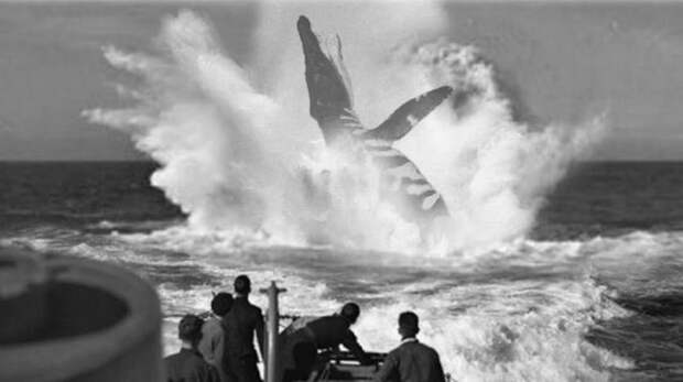 Монстр, увиденный экипажем подводной лодки U-28 интересно, история, первая мировая война, факты