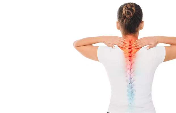 Потеря костной массы у женщин связана со здоровьем сердца