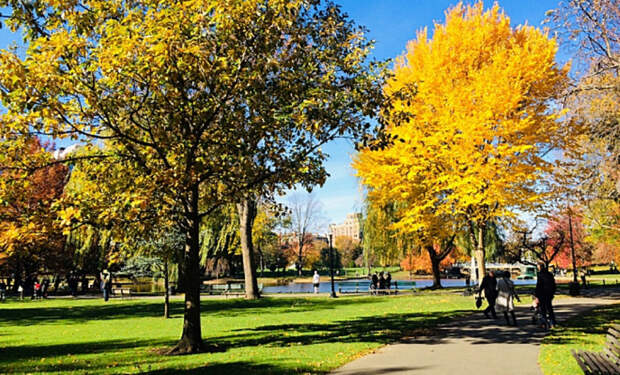 1 долгожители