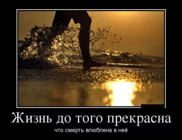 Прикольные демотиваторы с надписями. Подборка chert-poberi-dem-chert-poberi-dem-08310504012021-17 картинка chert-poberi-dem-08310504012021-17
