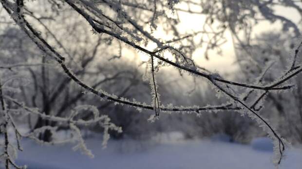 До -27. О погоде в Барнауле 15 января